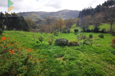 Villa i Gondufe, Viana do Castelo, Gondufe - € 215.000 | Ref: PTL-016-001 - foto 15