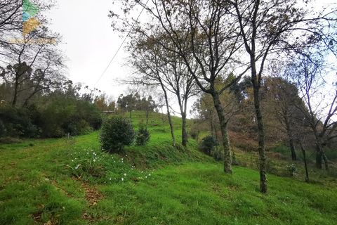 Villa i Gondufe, Viana do Castelo, Gondufe - € 215.000 | Ref: PTL-016-001 - foto 17