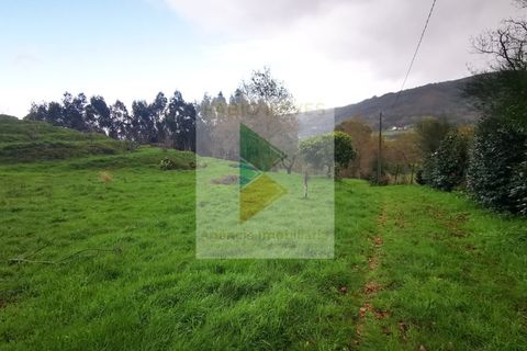 Villa i Gondufe, Viana do Castelo, Gondufe - € 215.000 | Ref: PTL-016-001 - foto 20