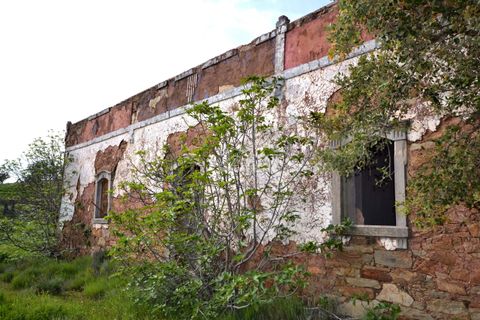 Terra a Loule, Faro, Loule - € 275.000 | Ref: 1009-2269 - foto 2
