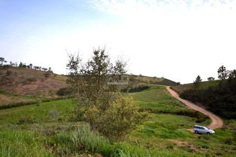 Terra a Loule, Faro, Loule - € 275.000 | Ref: 1009-2269 - foto 7
