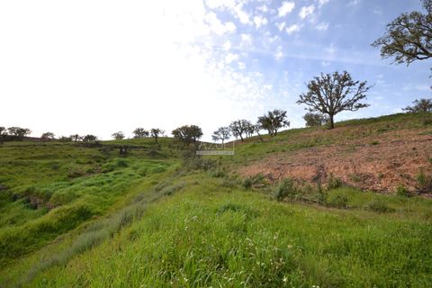 Terra a Loule, Faro, Loule - € 275.000 | Ref: 1009-2269 - foto 9