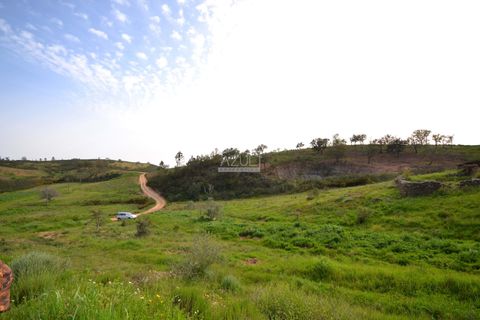 Terra a Loule, Faro, Loule - € 275.000 | Ref: 1009-2269 - foto 10