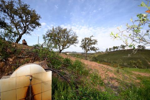 Terra a Loule, Faro, Loule - € 275.000 | Ref: 1009-2269 - foto 12
