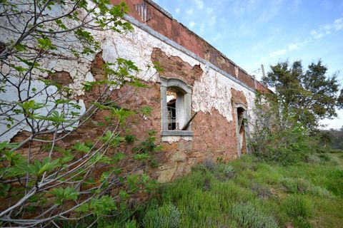 Terra a Loule, Faro, Loule - € 275.000 | Ref: 1009-2269 - foto 14