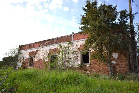 Terra a Loule, Faro, Loule - € 275.000 | Ref: 1009-2269 - foto 15