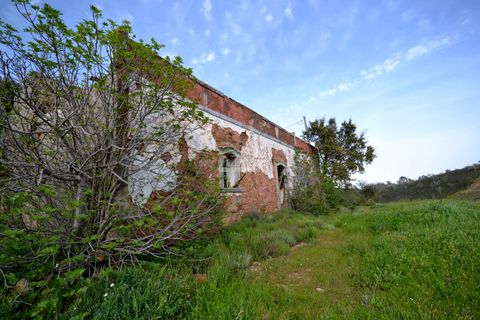 Terra a Loule, Faro, Loule - € 275.000 | Ref: 1009-2269 - foto 16