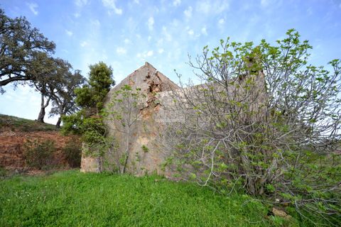 Terra a Loule, Faro, Loule - € 275.000 | Ref: 1009-2269 - foto 17