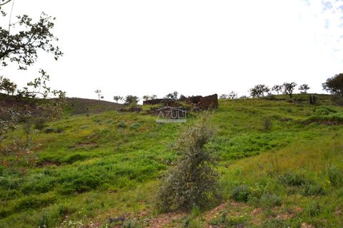 Terra a Loule, Faro, Loule - € 275.000 | Ref: 1009-2269 - foto 22