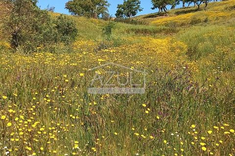 Terra a Loule, Faro, Loule - € 275.000 | Ref: 1009-2269 - foto 4
