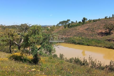 Terra a Loule, Faro, Loule - € 275.000 | Ref: 1009-2269 - foto 5