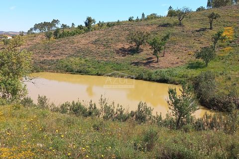 Terra a Loule, Faro, Loule - € 275.000 | Ref: 1009-2269 - foto 30