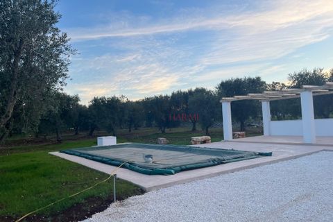 Villa a Ostuni, Brindisi, Ostuni - € 525.000 | Ref: 263 - foto 25
