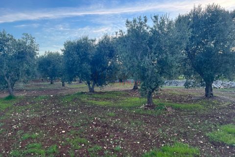Villa a Ostuni, Brindisi, Ostuni - € 525.000 | Ref: 263 - foto 27