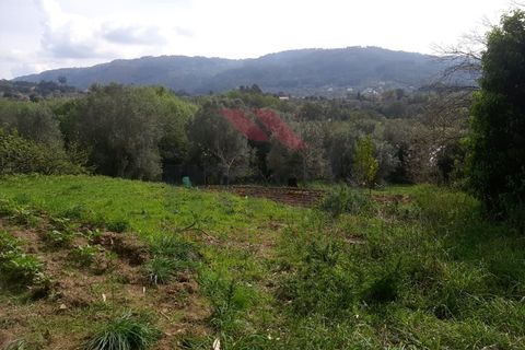 Helårsgrund i Ponte de Lima, Viana do Castelo, Ponte de Lima - € 130.000 | Ref: PTL-1169-MD-0324 - foto 1