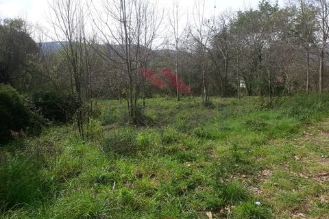 Helårsgrund i Ponte de Lima, Viana do Castelo, Ponte de Lima - € 130.000 | Ref: PTL-1169-MD-0324 - foto 2