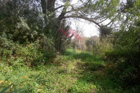 Helårsgrund i Ponte de Lima, Viana do Castelo, Ponte de Lima - € 130.000 | Ref: PTL-1169-MD-0324 - foto 3