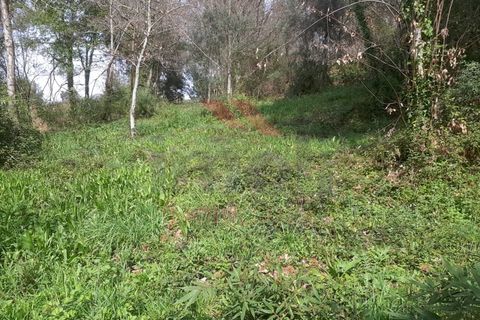 Helårsgrund i Ponte de Lima, Viana do Castelo, Ponte de Lima - € 130.000 | Ref: PTL-1169-MD-0324 - foto 4