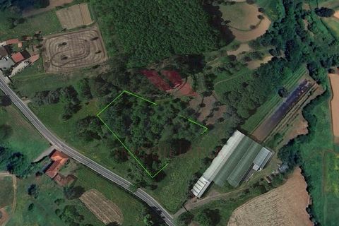 Helårsgrund i Ponte de Lima, Viana do Castelo, Ponte de Lima - € 130.000 | Ref: PTL-1169-MD-0324 - foto 7