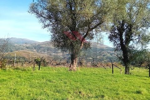 Villa i Arcos de Valdevez, Viana do Castelo, Arcos de Valdevez - € 205.000 | Ref: AVV-2281-MR-0324 - foto 11