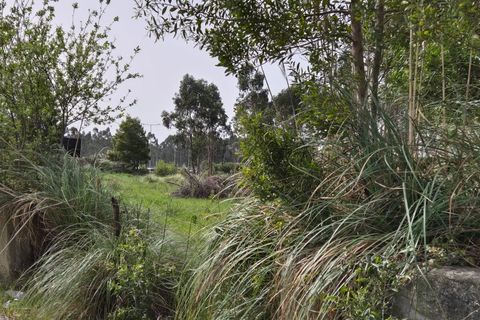 Helårsgrund i Mindelo, Porto, Mindelo - € 475.000 | Ref: TER_1215 - foto 2