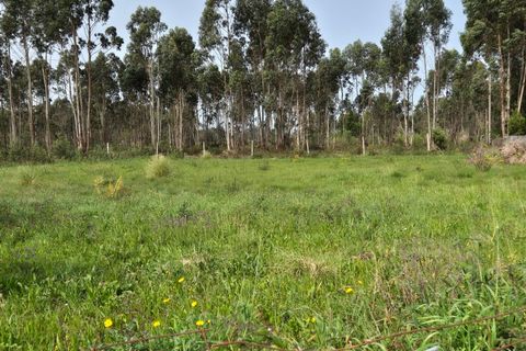 Helårsgrund i Mindelo, Porto, Mindelo - € 475.000 | Ref: TER_1215 - foto 4