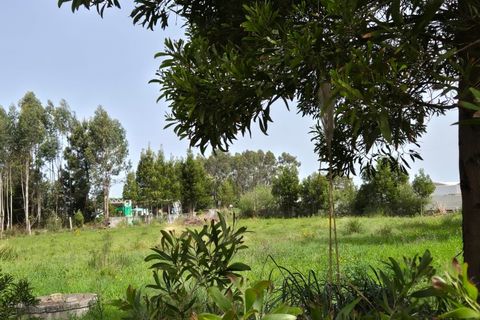 Helårsgrund i Mindelo, Porto, Mindelo - € 475.000 | Ref: TER_1215 - foto 7