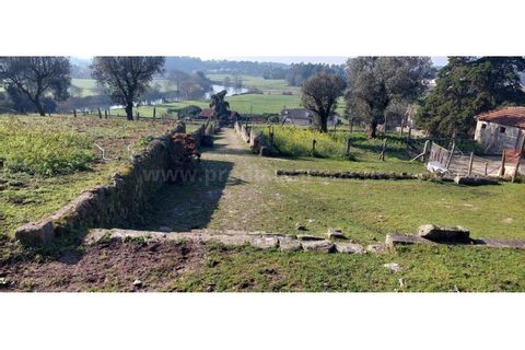 Farm i Vila do Conde, Porto, Vila do Conde - € 950.000 | Ref: 20537 - foto 2