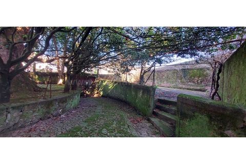 Farm i Vila do Conde, Porto, Vila do Conde - € 950.000 | Ref: 20537 - foto 4