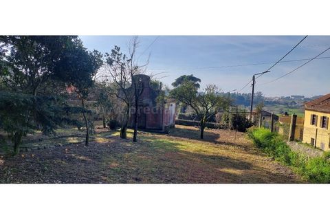 Farm i Vila do Conde, Porto, Vila do Conde - € 950.000 | Ref: 20537 - foto 5