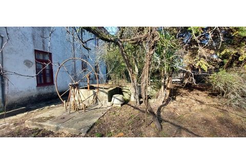 Farm i Vila do Conde, Porto, Vila do Conde - € 950.000 | Ref: 20537 - foto 9