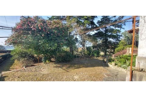 Farm i Vila do Conde, Porto, Vila do Conde - € 950.000 | Ref: 20537 - foto 10