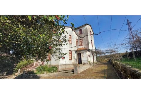 Farm i Vila do Conde, Porto, Vila do Conde - € 950.000 | Ref: 20537 - foto 11