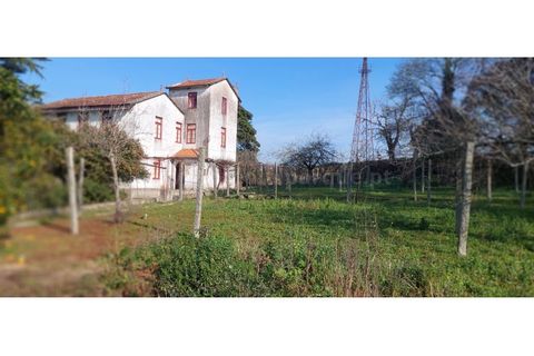 Farm i Vila do Conde, Porto, Vila do Conde - € 950.000 | Ref: 20537 - foto 13