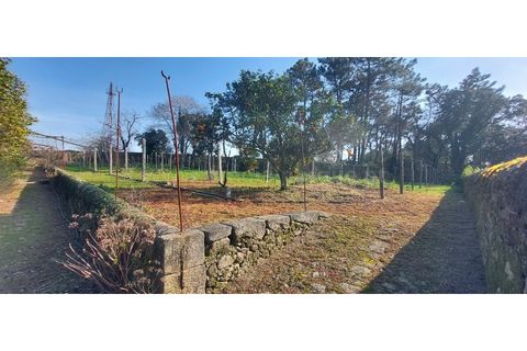 Farm i Vila do Conde, Porto, Vila do Conde - € 950.000 | Ref: 20537 - foto 14