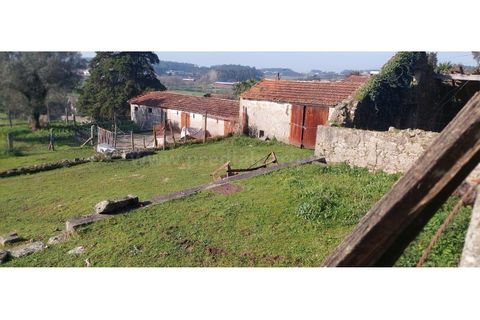 Farm i Vila do Conde, Porto, Vila do Conde - € 950.000 | Ref: 20537 - foto 15