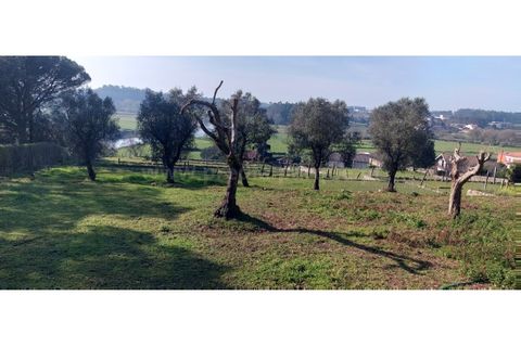 Farm i Vila do Conde, Porto, Vila do Conde - € 950.000 | Ref: 20537 - foto 16