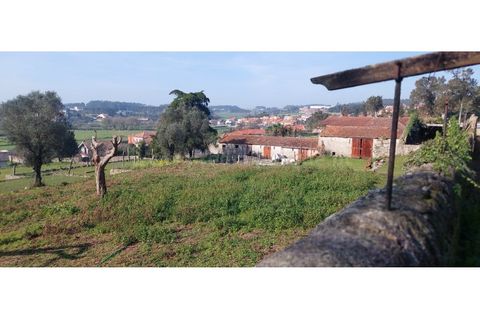 Farm i Vila do Conde, Porto, Vila do Conde - € 950.000 | Ref: 20537 - foto 17