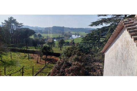 Farm i Vila do Conde, Porto, Vila do Conde - € 950.000 | Ref: 20537 - foto 18