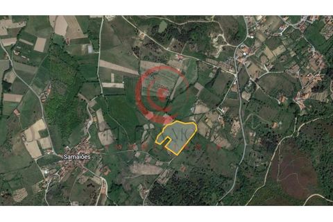 Helårsgrund i Chaves, Vila Real, Chaves - € 100.000 | Ref: CM01-0019 - foto 2