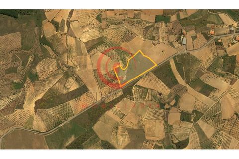 Helårsgrund i Valpacos, Vila Real, Valpacos - € 25.000 | Ref: CM01-0018 - foto 6