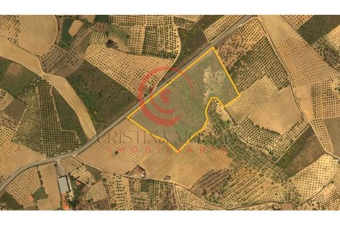 Helårsgrund i Valpacos, Vila Real, Valpacos - € 25.000 | Ref: CM01-0018 - foto 8