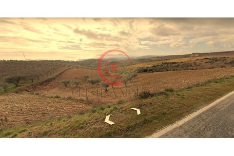 Helårsgrund i Valpacos, Vila Real, Valpacos - € 25.000 | Ref: CM01-0018 - foto 11