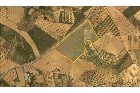 Helårsgrund i Valpacos, Vila Real, Valpacos - € 25.000 | Ref: CM01-0018 - foto 12