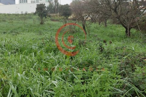 Helårsgrund i Chaves, Vila Real, Chaves - € 72.500 | Ref: CM01-0010 - foto 2