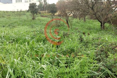 Helårsgrund i Chaves, Vila Real, Chaves - € 72.500 | Ref: CM01-0010 - foto 4