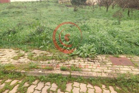Helårsgrund i Chaves, Vila Real, Chaves - € 72.500 | Ref: CM01-0010 - foto 5