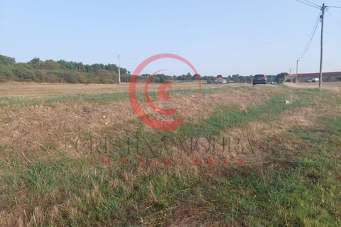 Helårsgrund i Chaves, Vila Real, Chaves - € 18.000 | Ref: CM01-0055 - foto 6