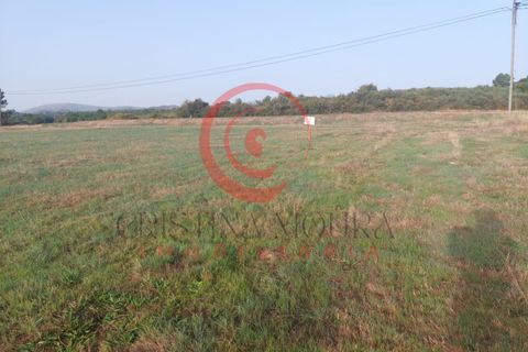 Helårsgrund i Chaves, Vila Real, Chaves - € 18.000 | Ref: CM01-0055 - foto 13