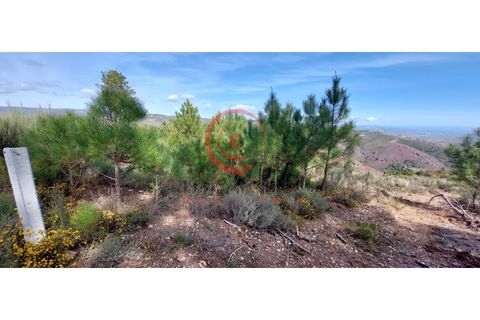 Helårsgrund i Murca, Vila Real, Murca - € 12.500 | Ref: CM01-0003 - foto 3